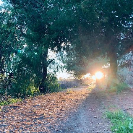 Monte Rosado Viviendas Vacacionales La Peza Luaran gambar